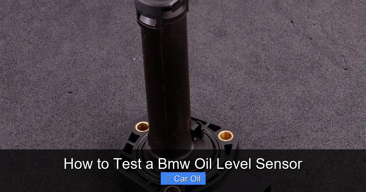 How to Test a Bmw Oil Level Sensor