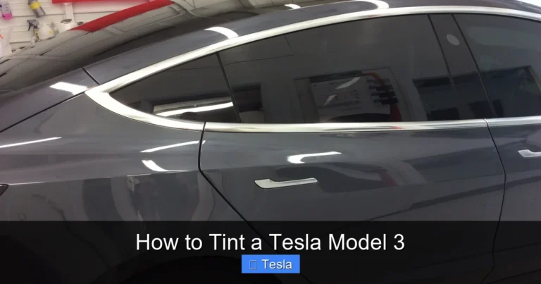 How to Tint a Tesla Model 3