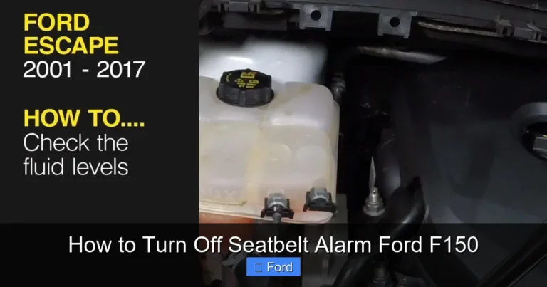 How to Turn Off Seatbelt Alarm Ford F150