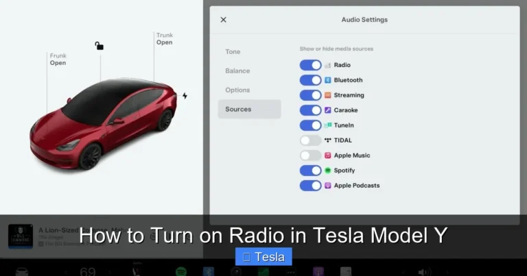 How to Turn on Radio in Tesla Model Y