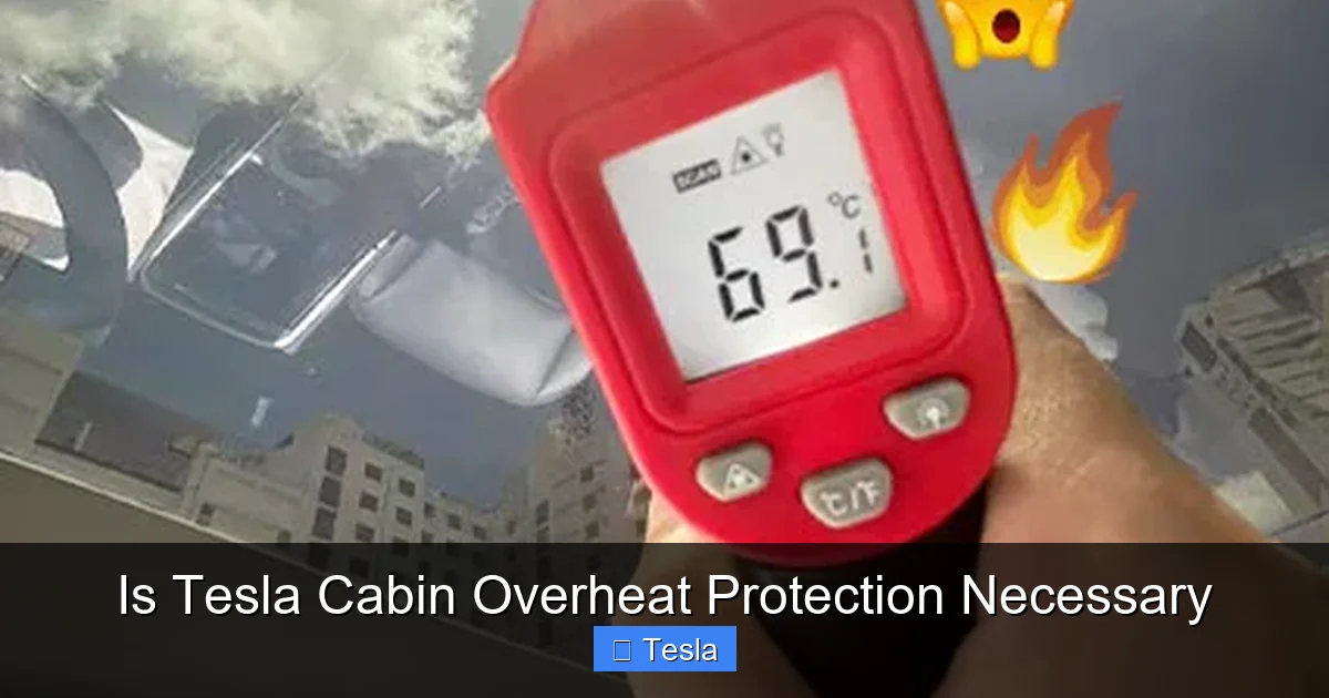 Is Tesla Cabin Overheat Protection Necessary