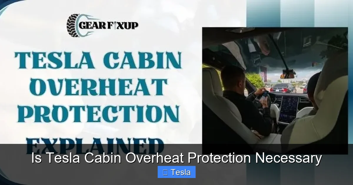 Is Tesla Cabin Overheat Protection Necessary