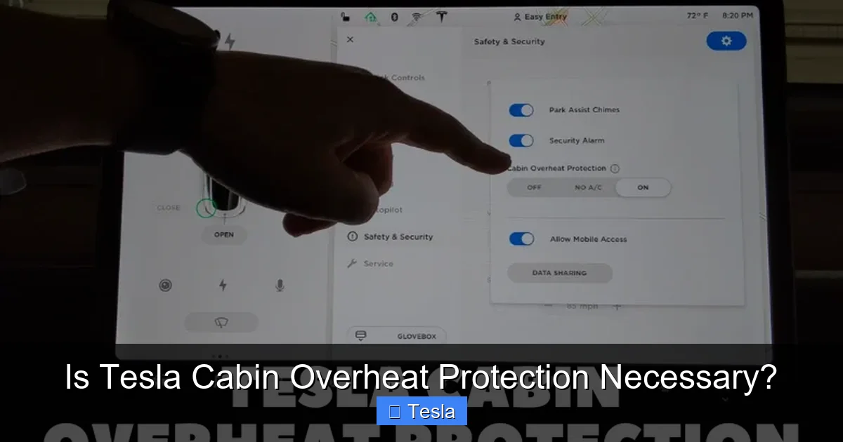 Is Tesla Cabin Overheat Protection Necessary?