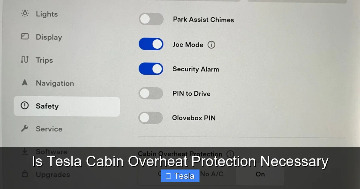 Is Tesla Cabin Overheat Protection Necessary