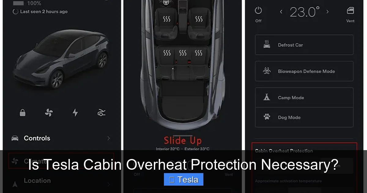 Is Tesla Cabin Overheat Protection Necessary?