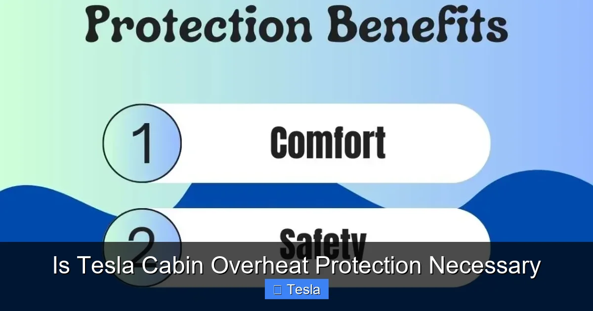Is Tesla Cabin Overheat Protection Necessary