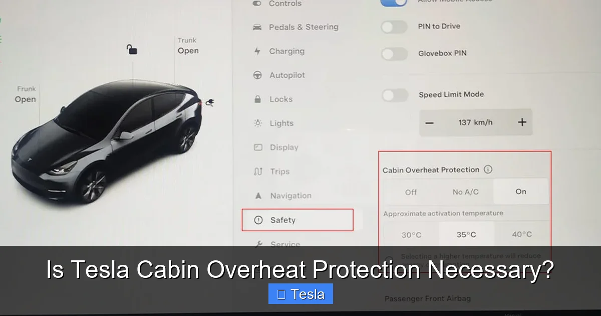 Is Tesla Cabin Overheat Protection Necessary?