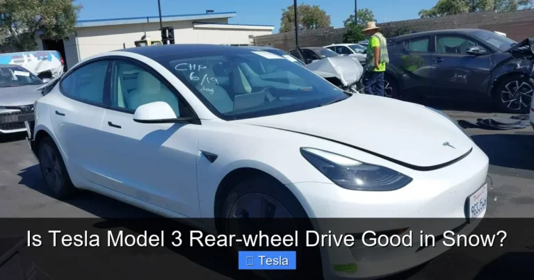 Is Tesla Model 3 Rear-wheel Drive Good in Snow?