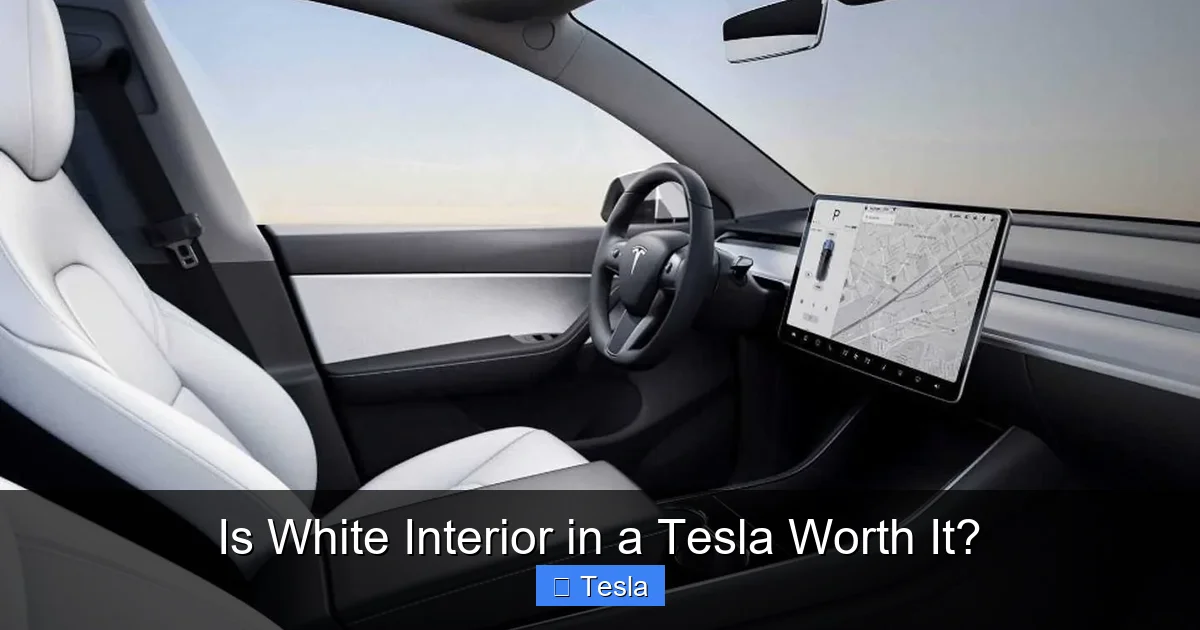 Is White Interior in a Tesla Worth It?