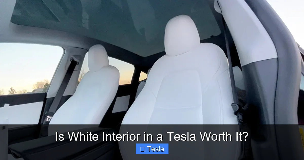 Is White Interior in a Tesla Worth It?