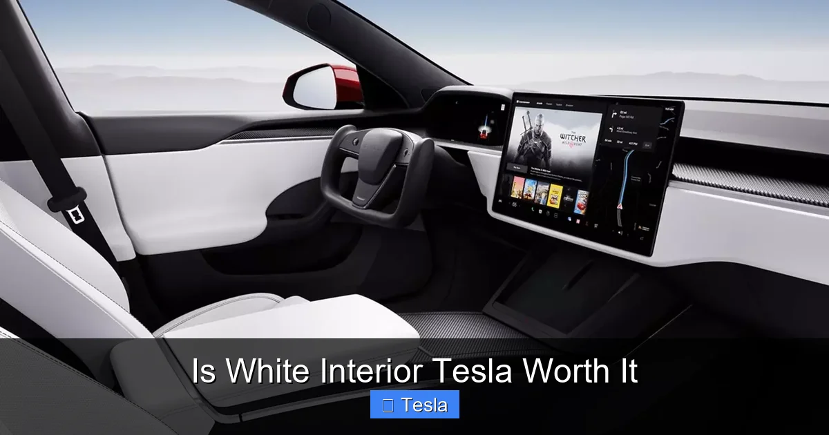 Is White Interior Tesla Worth It