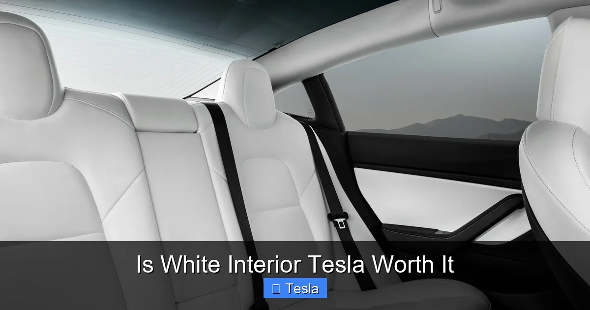 Is White Interior Tesla Worth It