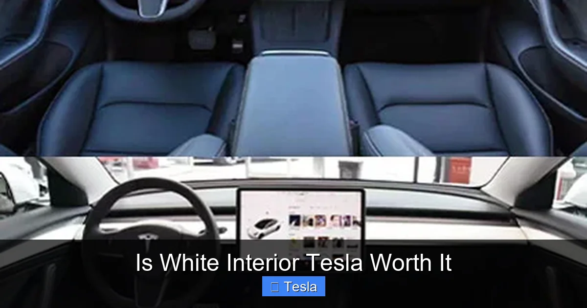 Is White Interior Tesla Worth It