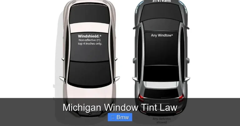 Michigan Window Tint Law