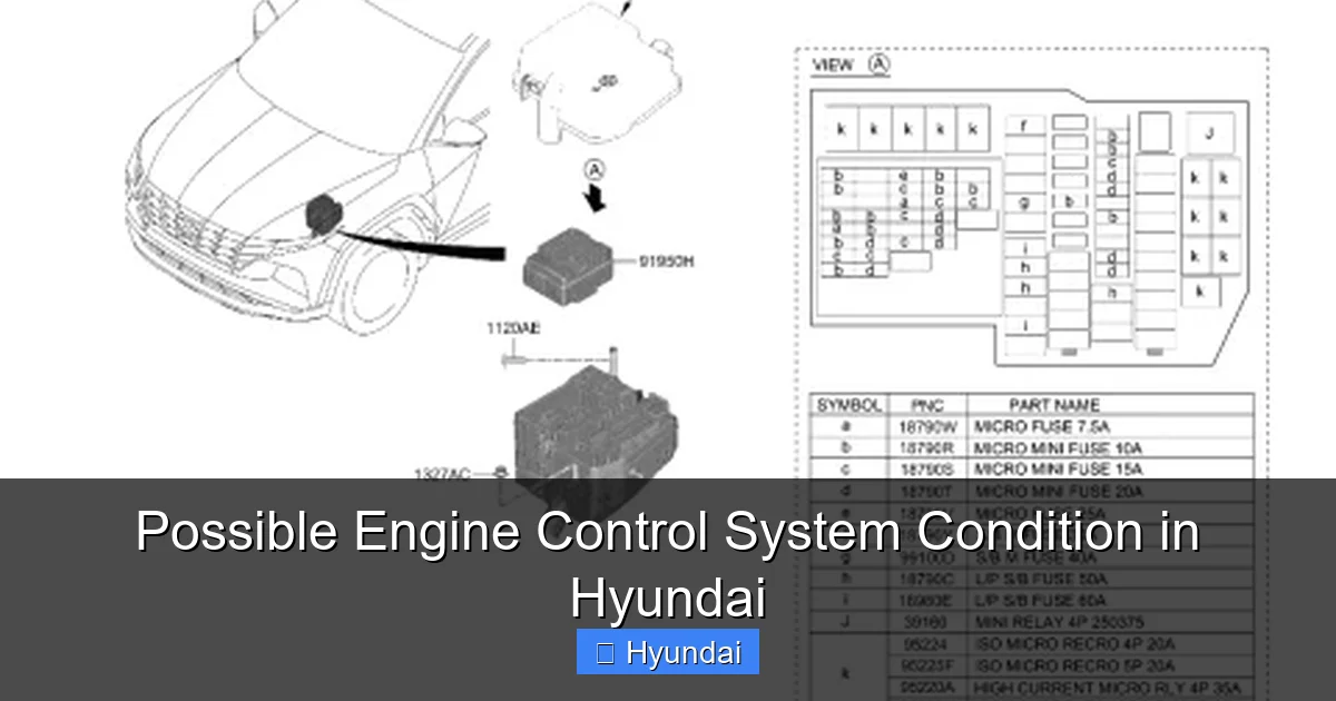 Possible Engine Control System Condition in Hyundai