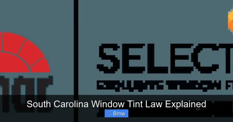 South Carolina Window Tint Law Explained