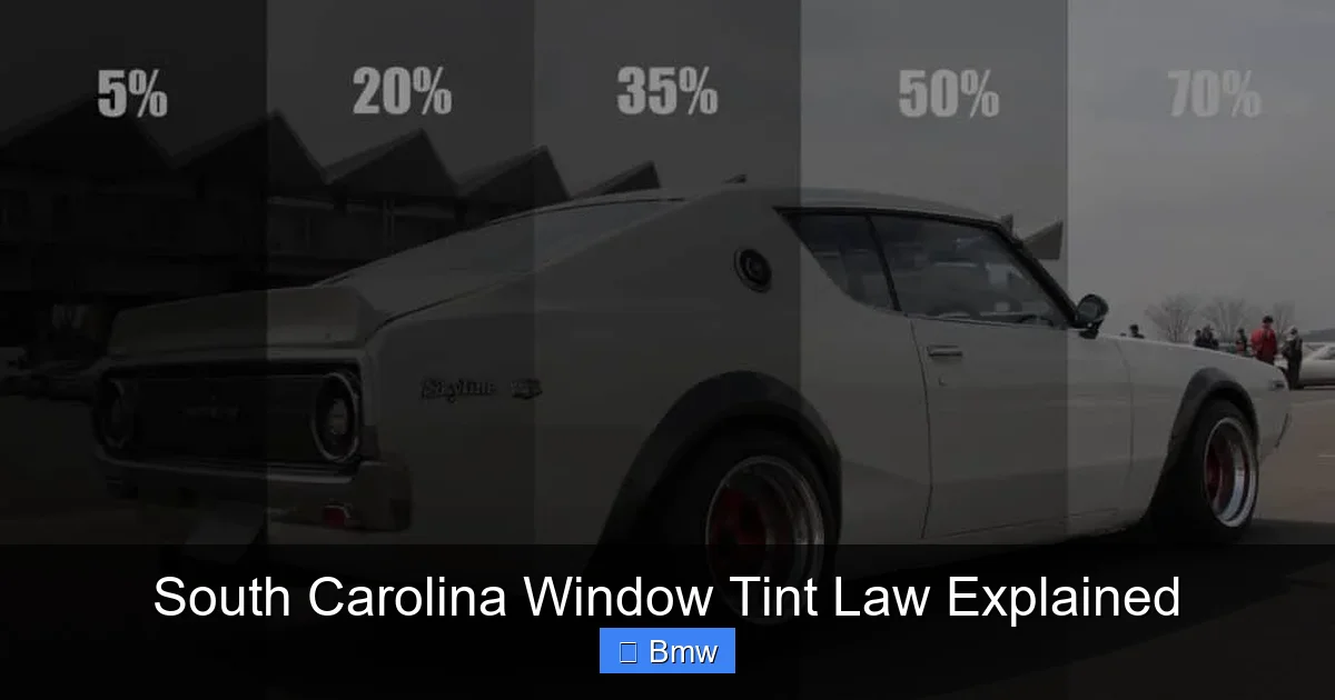 South Carolina Window Tint Law Explained