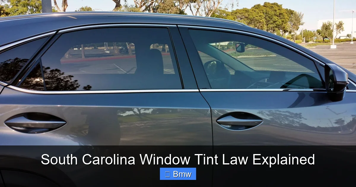 South Carolina Window Tint Law Explained