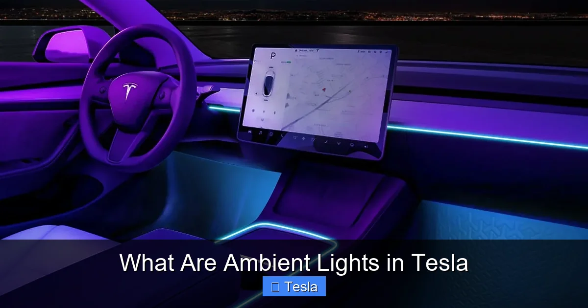 What Are Ambient Lights in Tesla
