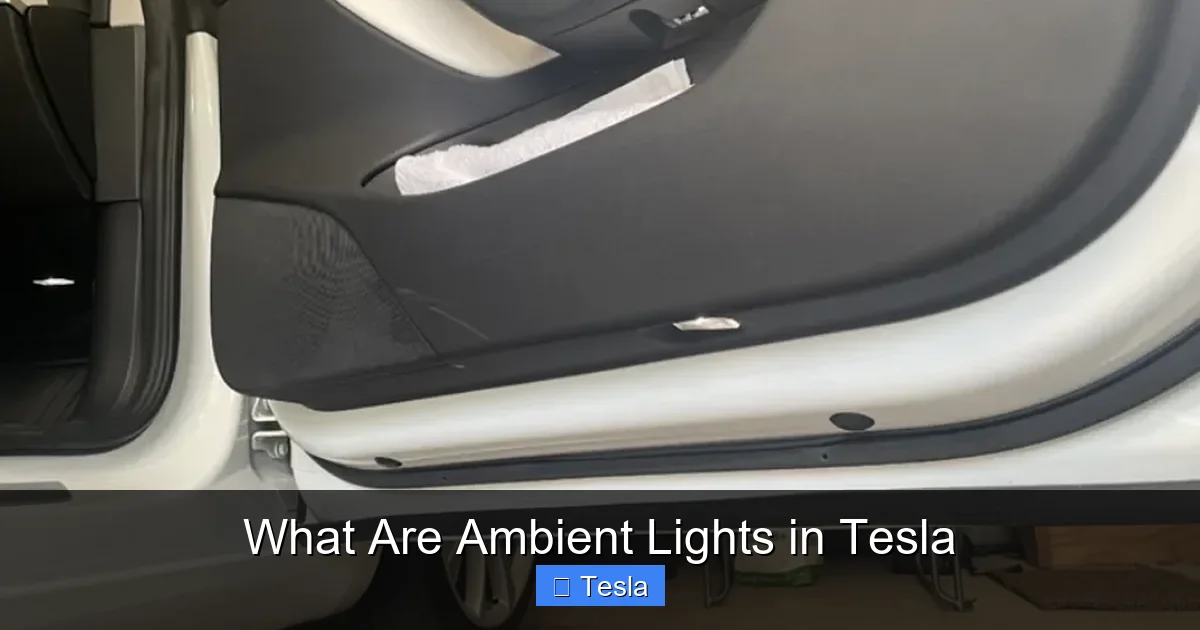 What Are Ambient Lights in Tesla