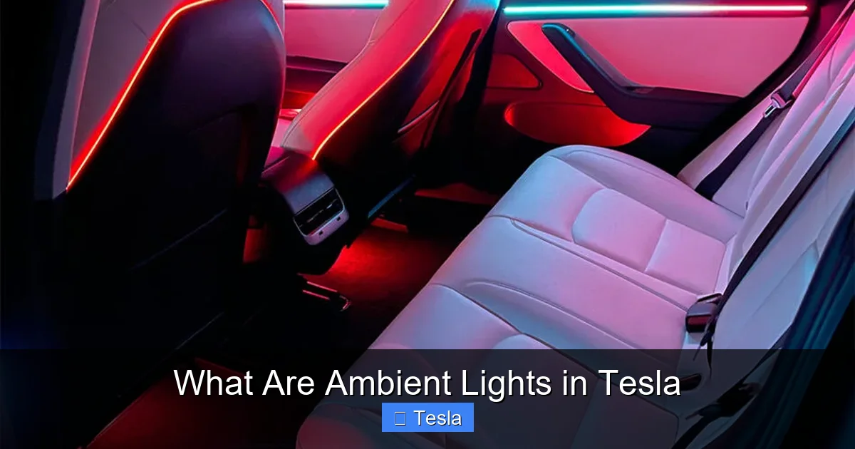What Are Ambient Lights in Tesla