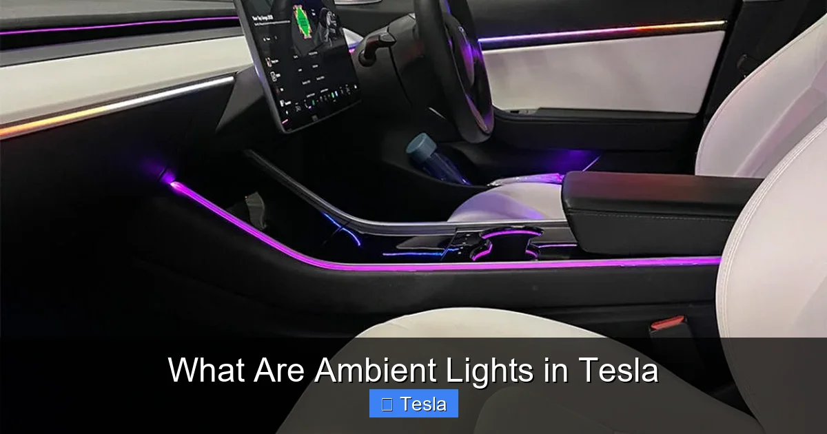 What Are Ambient Lights in Tesla