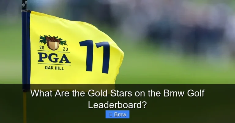 What Are the Gold Stars on the Bmw Golf Leaderboard?