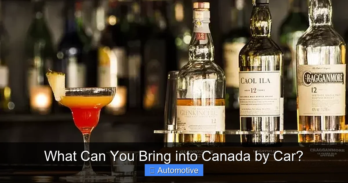 What Can You Bring into Canada by Car?