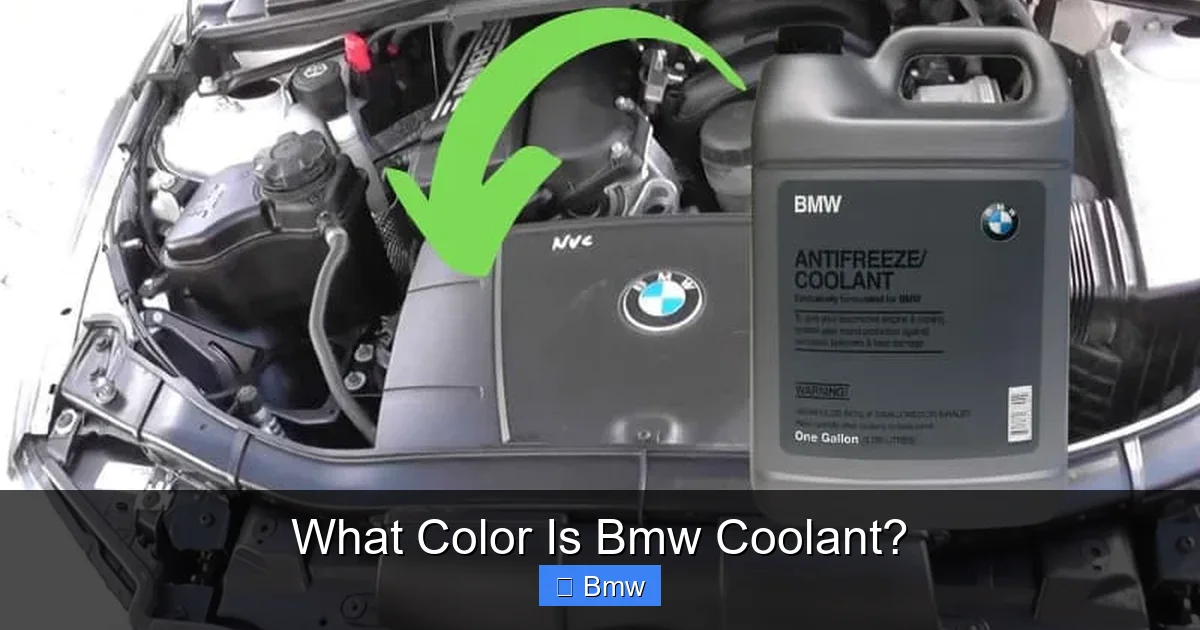 What Color Is Bmw Coolant?