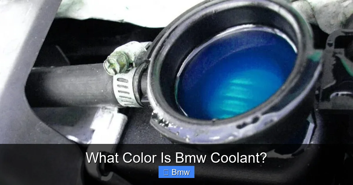 What Color Is Bmw Coolant?