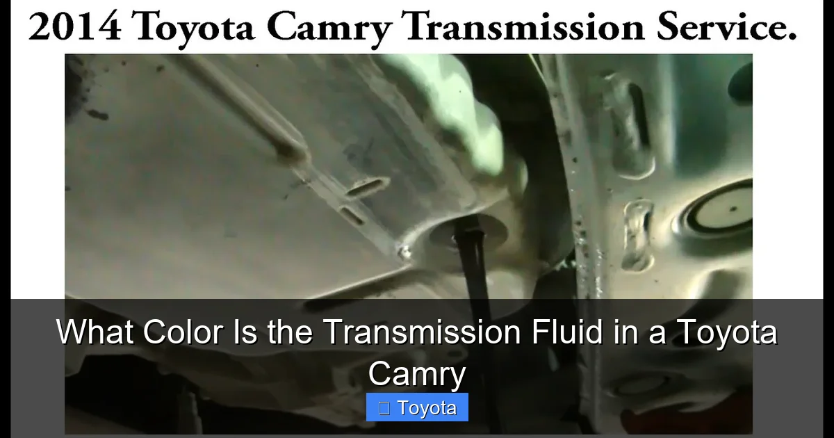 What Color Is the Transmission Fluid in a Toyota Camry