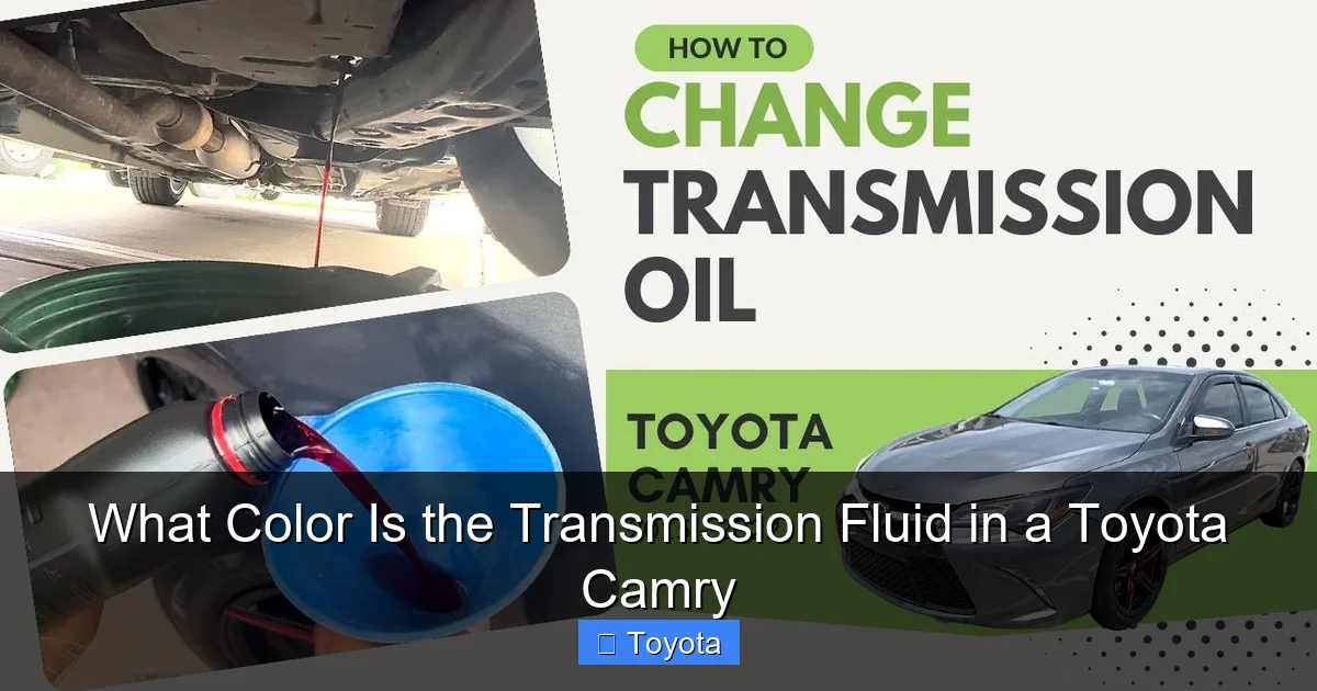 What Color Is the Transmission Fluid in a Toyota Camry