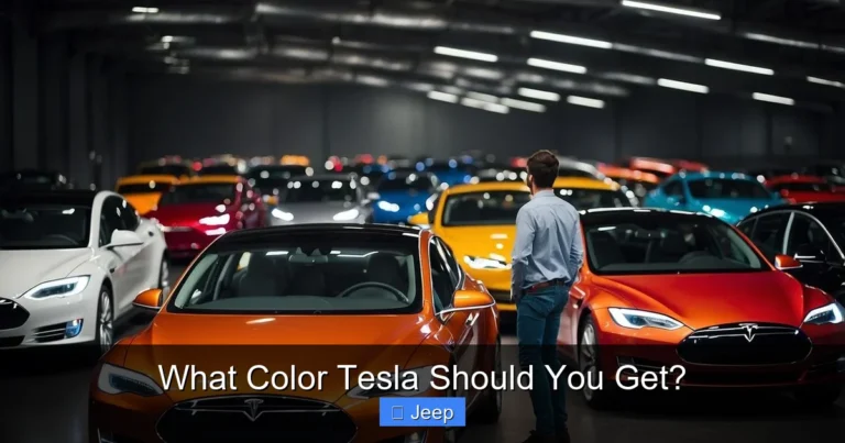 What Color Tesla Should You Get?