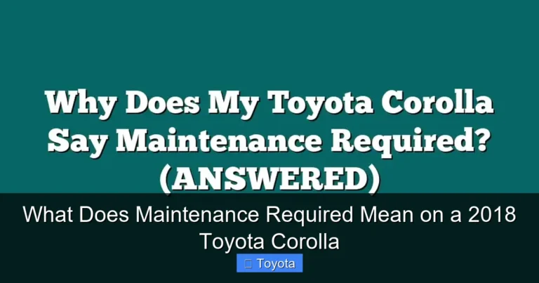 What Does Maintenance Required Mean on a 2018 Toyota Corolla