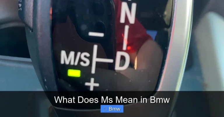What Does Ms Mean in Bmw