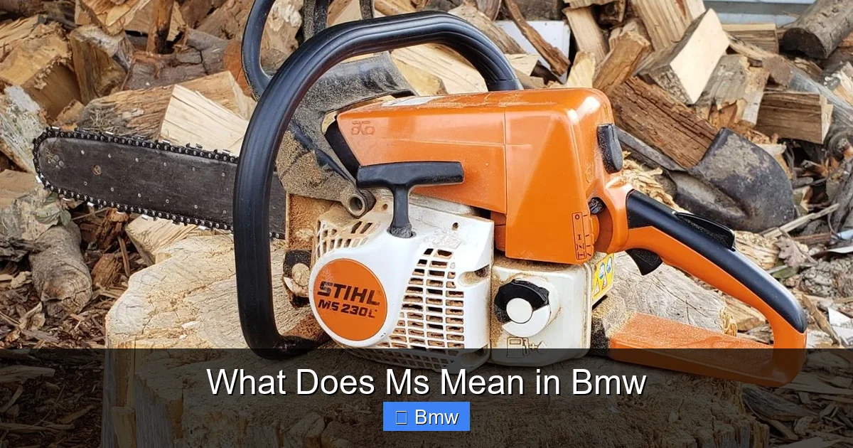 What Does Ms Mean in Bmw