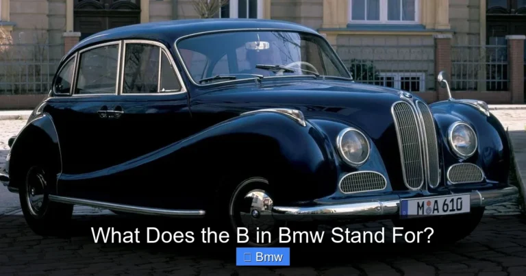 What Does the B in Bmw Stand For?
