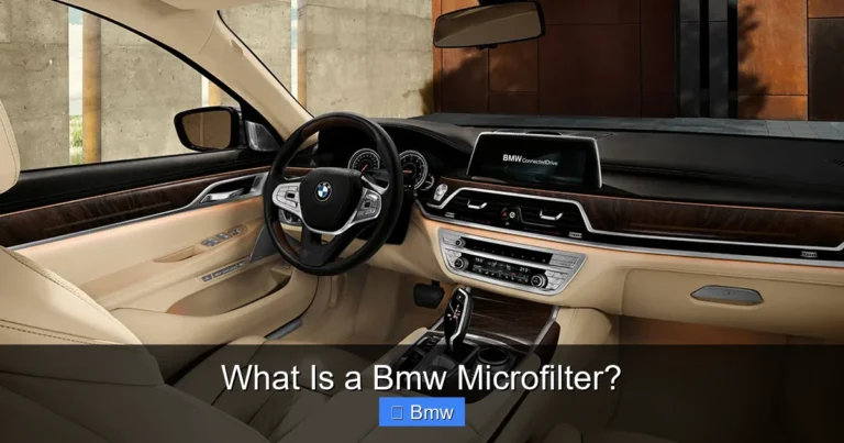 What Is a Bmw Microfilter?