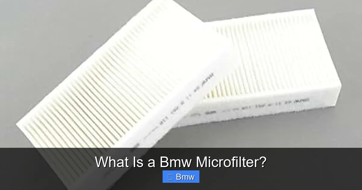 What Is a Bmw Microfilter?