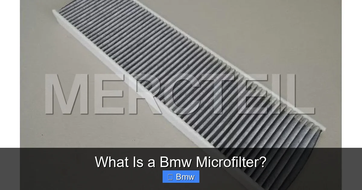 What Is a Bmw Microfilter?