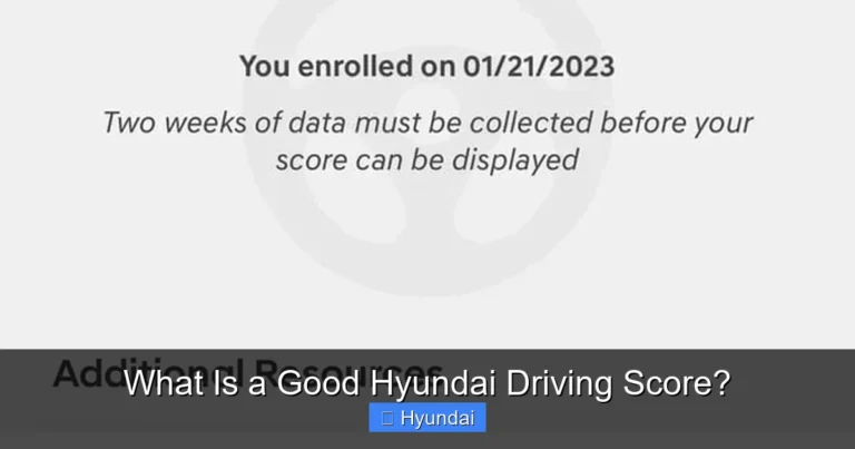 What Is a Good Hyundai Driving Score?
