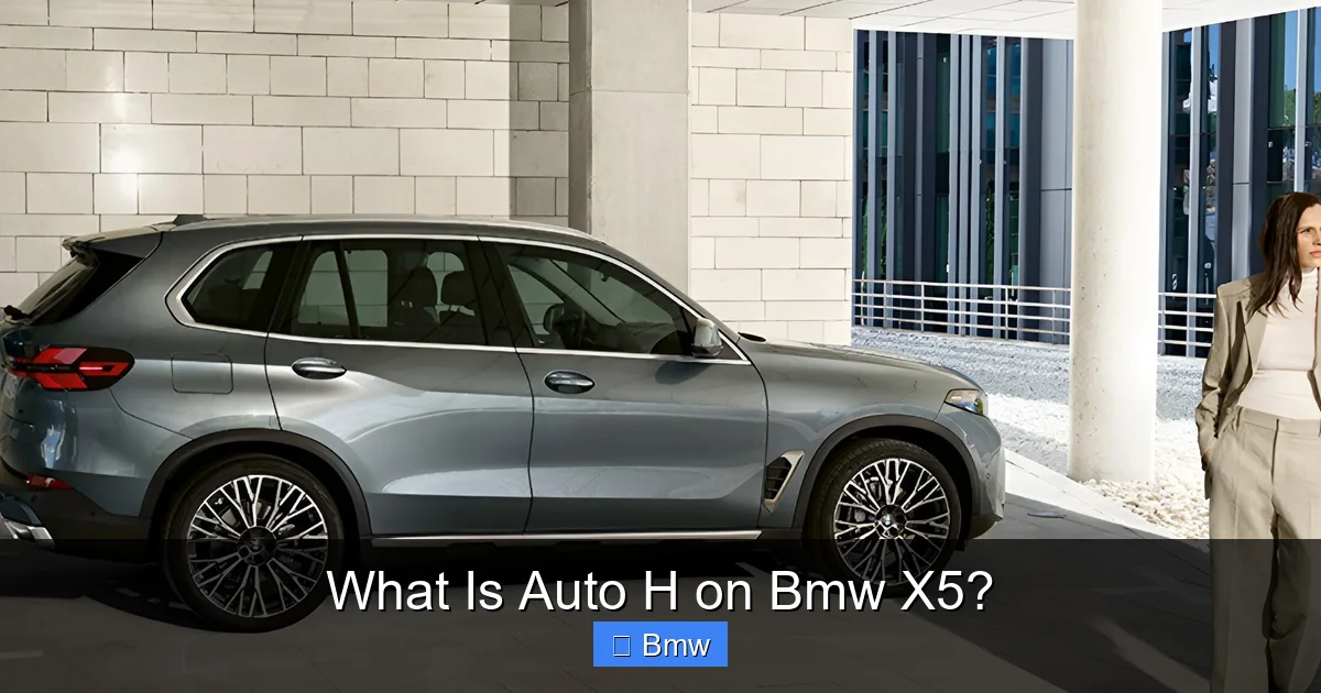 What Is Auto H on Bmw X5?