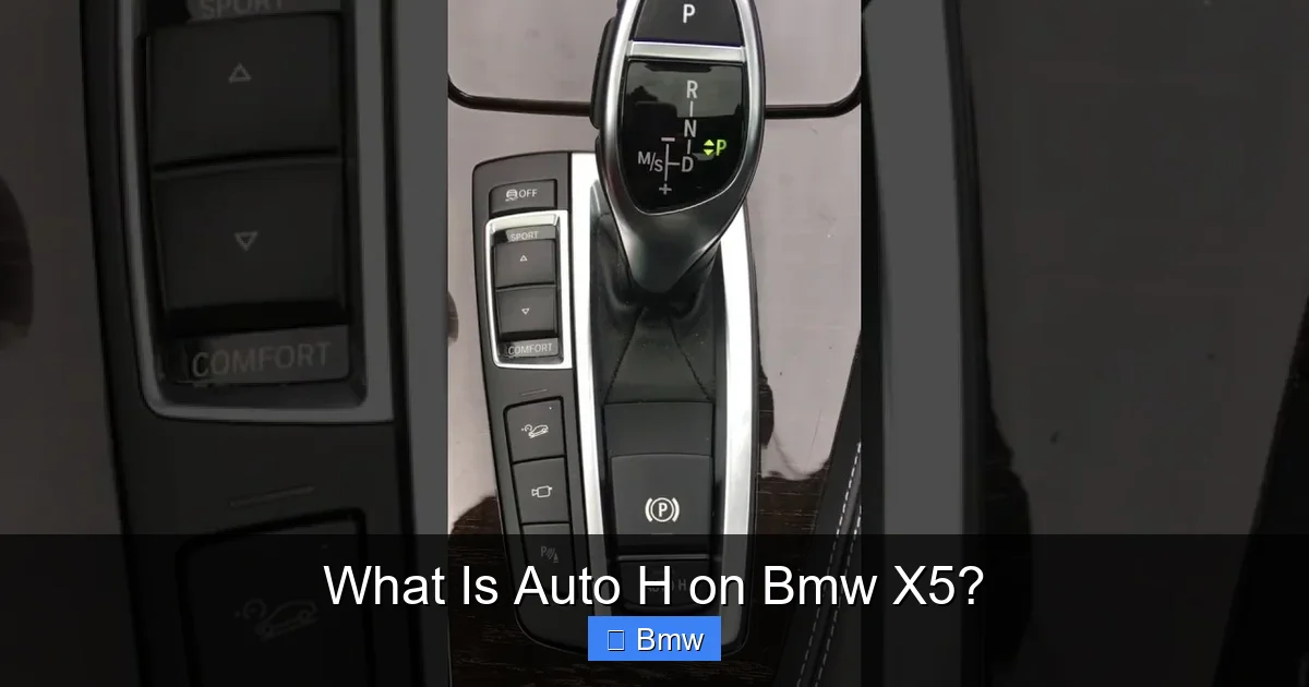 What Is Auto H on Bmw X5?