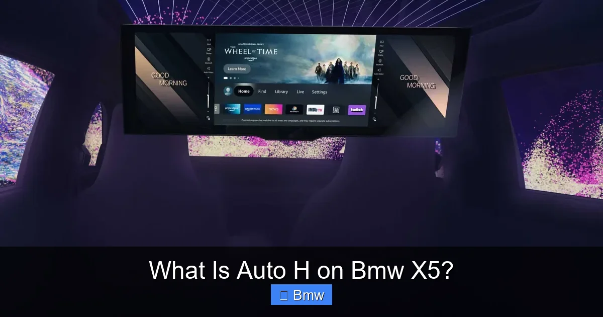 What Is Auto H on Bmw X5?