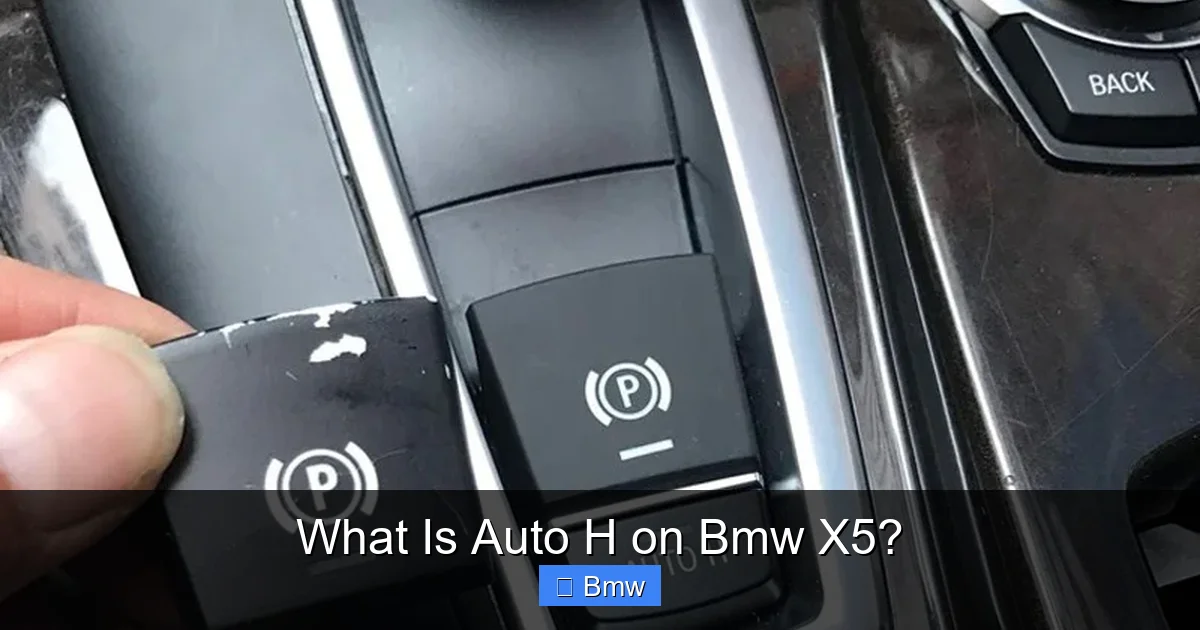 What Is Auto H on Bmw X5?