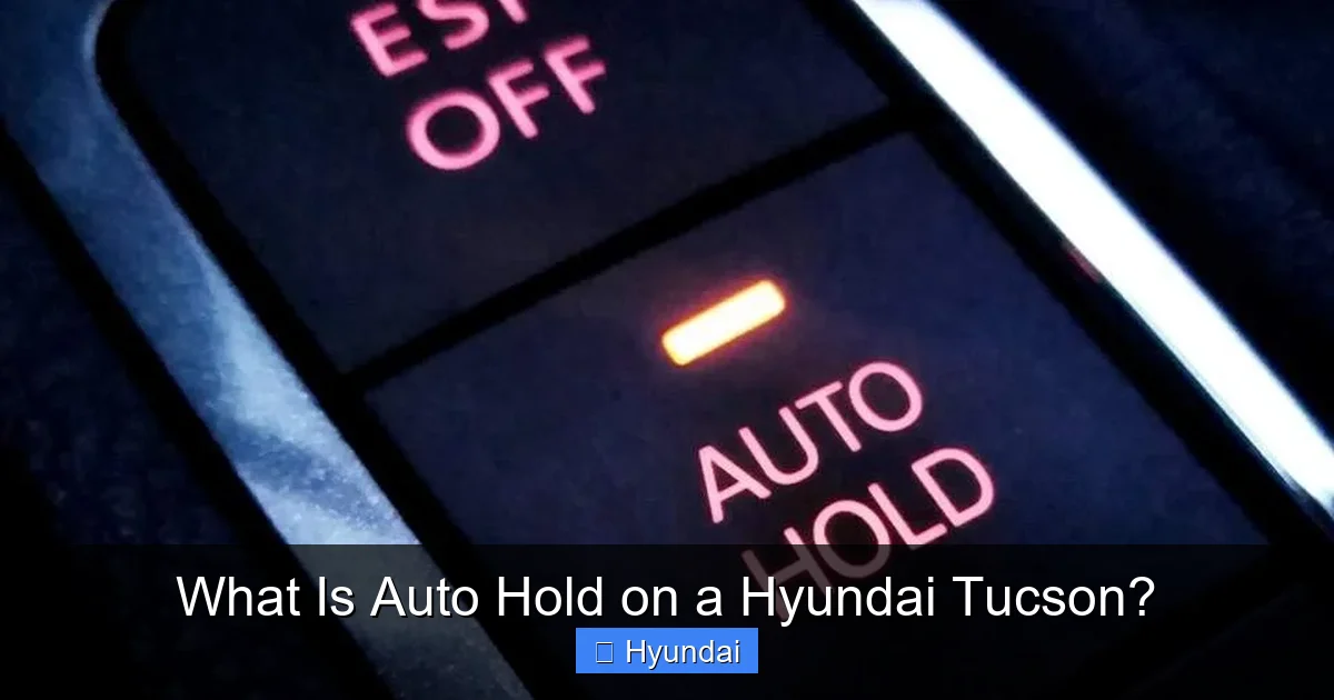 What Is Auto Hold Aesthetic Wallpaper