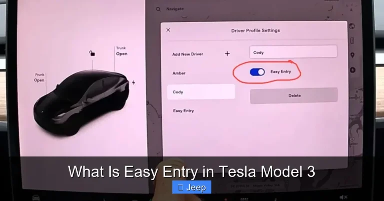 What Is Easy Entry in Tesla Model 3