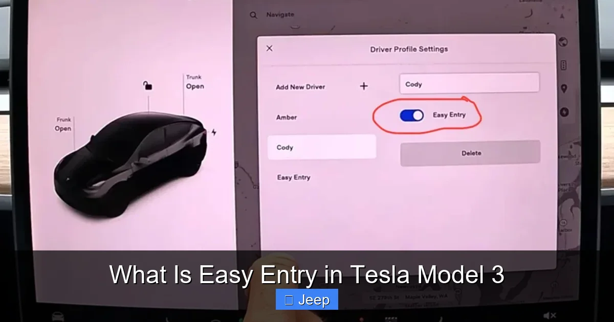 What Is Easy Entry in Tesla Model 3