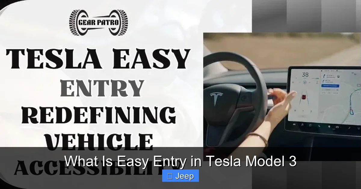 What Is Easy Entry in Tesla Model 3