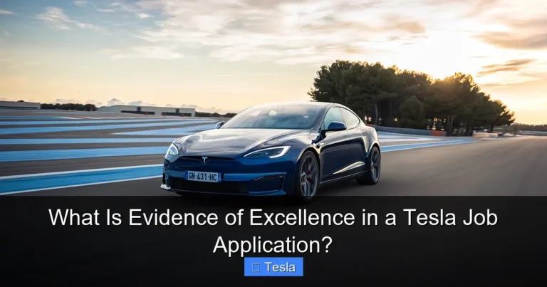 What Is Evidence of Excellence in a Tesla Job Application?